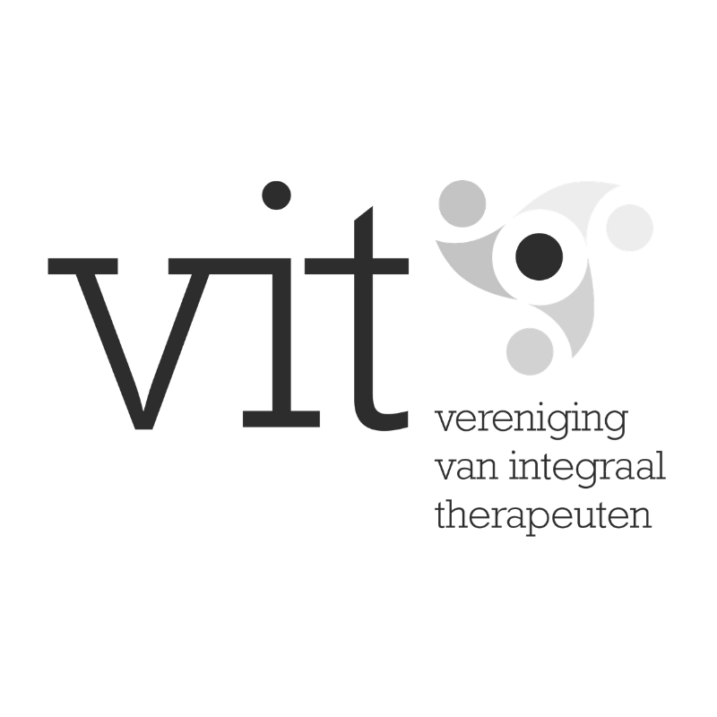 logo VIT 800